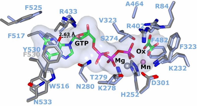 FIGURE 4