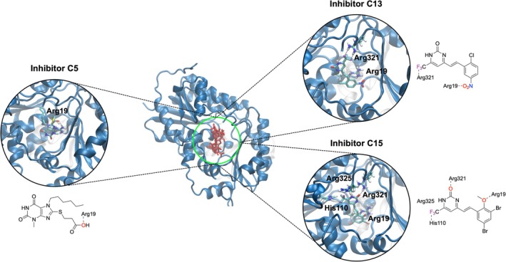 FIGURE 5