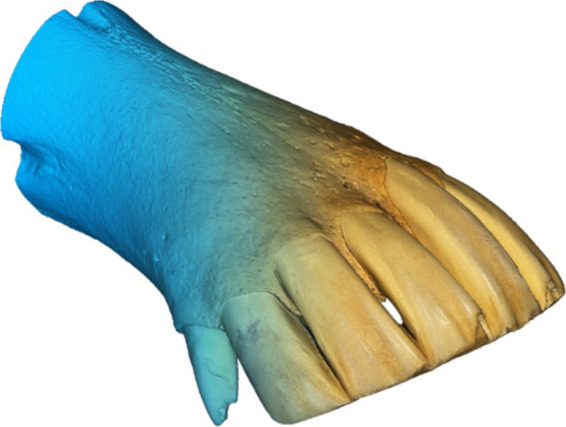 Figure 2