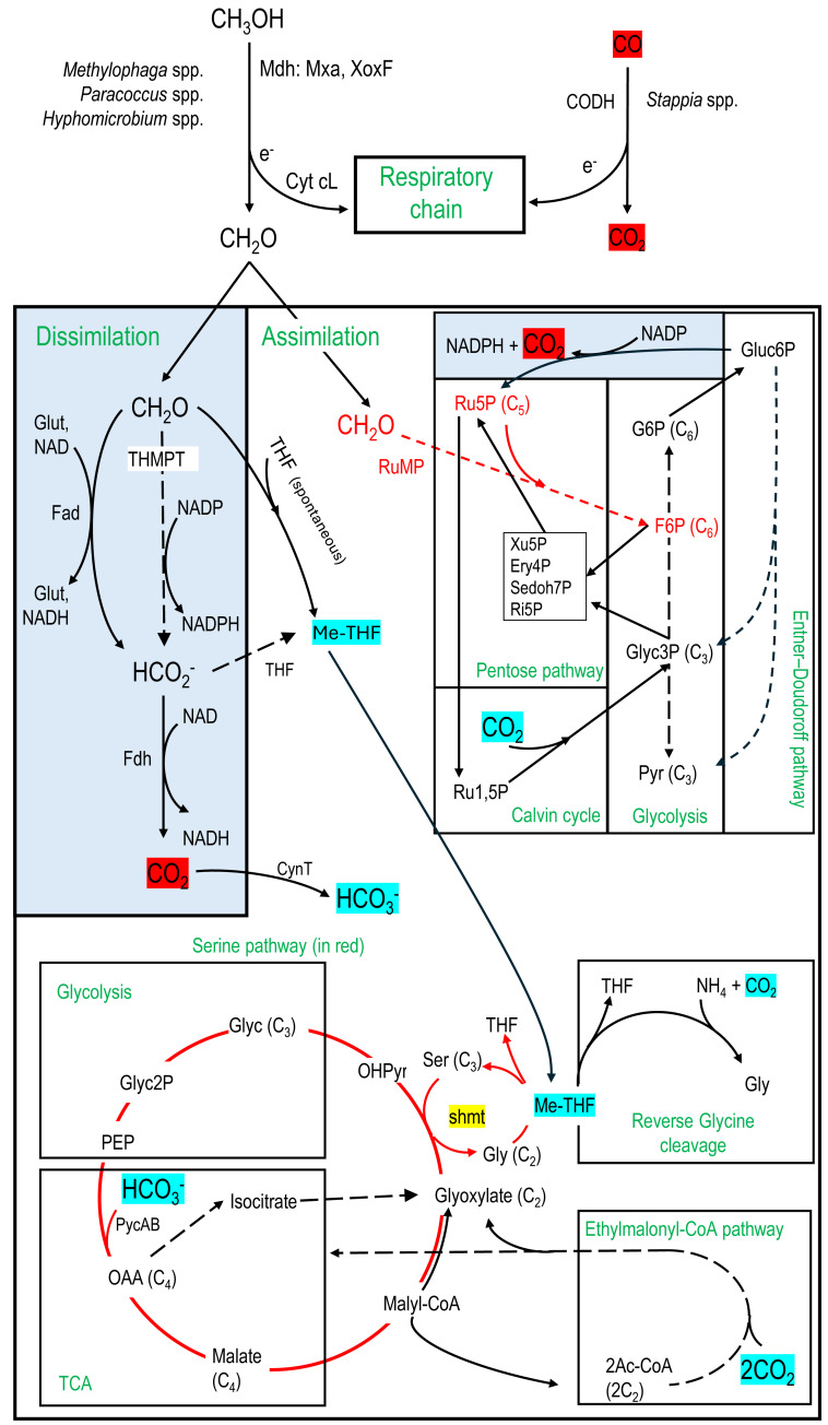 Figure 6