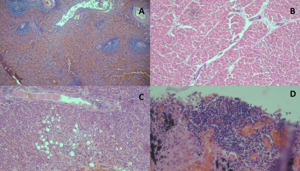 Fig 3