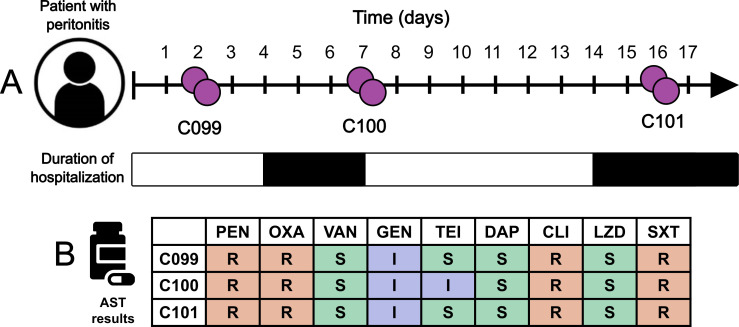 Fig 1