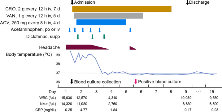 Fig 1