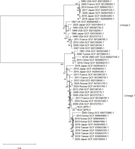 Fig 1