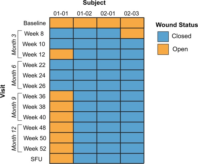 FIGURE 1