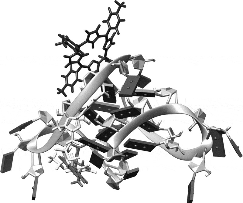 Figure 10