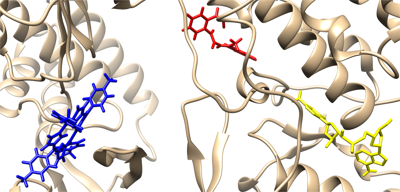 Figure 11