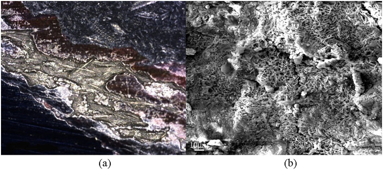 Fig 7