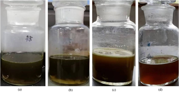 Fig 10