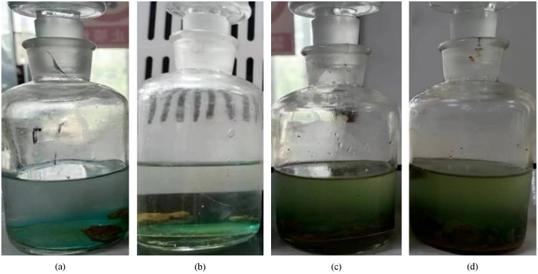 Fig 12