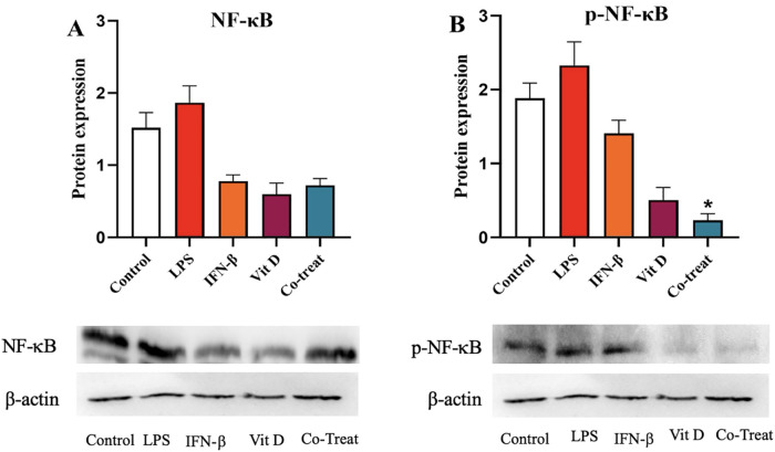 Fig 8