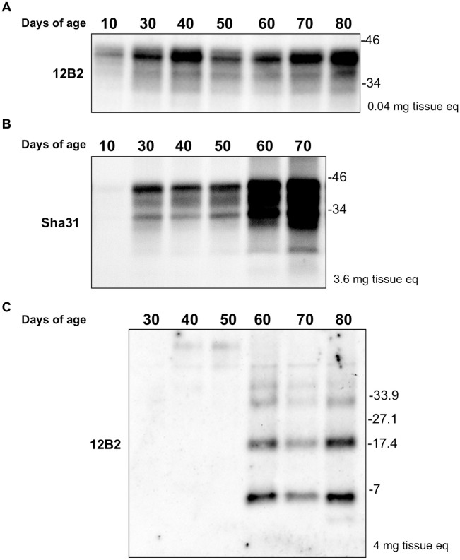 Fig 5