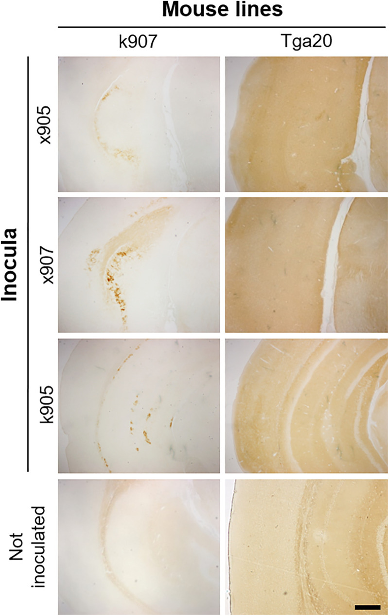 Fig 8