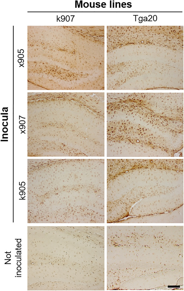 Fig 9