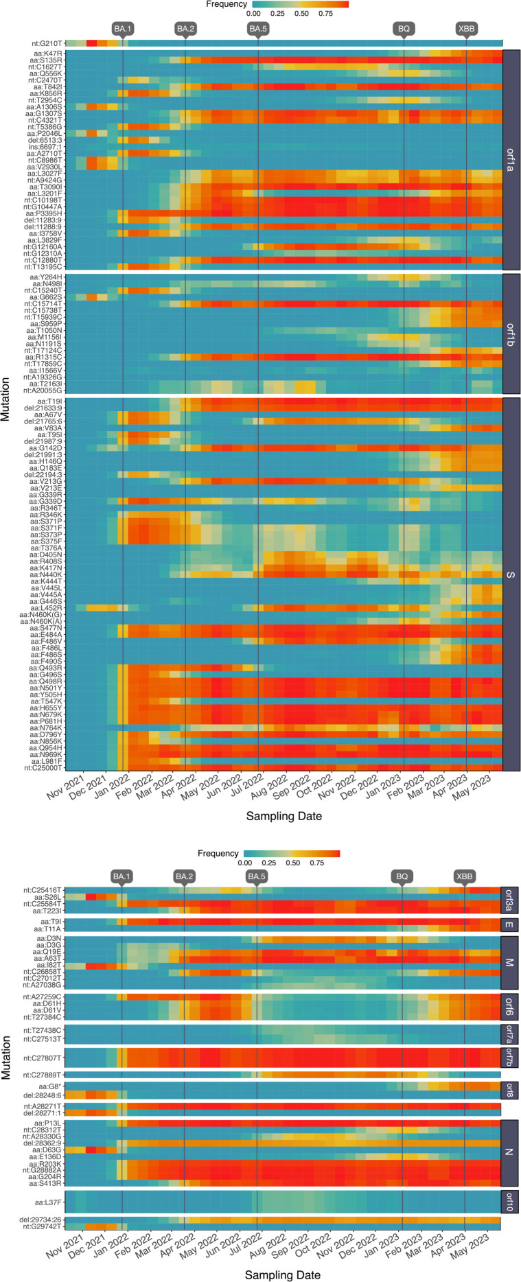 Fig 6