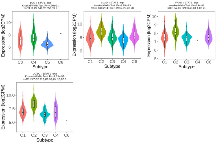 Figure 12