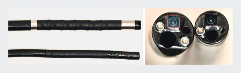 Fig. 1