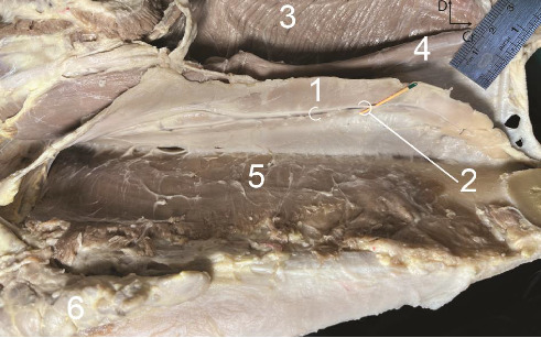 Figure 8