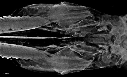 Figure 10