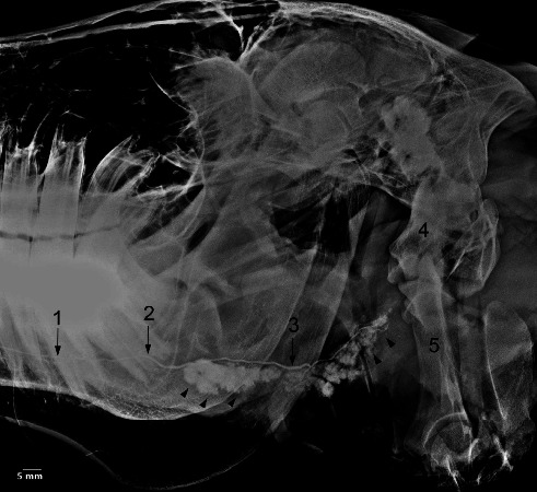 Figure 14