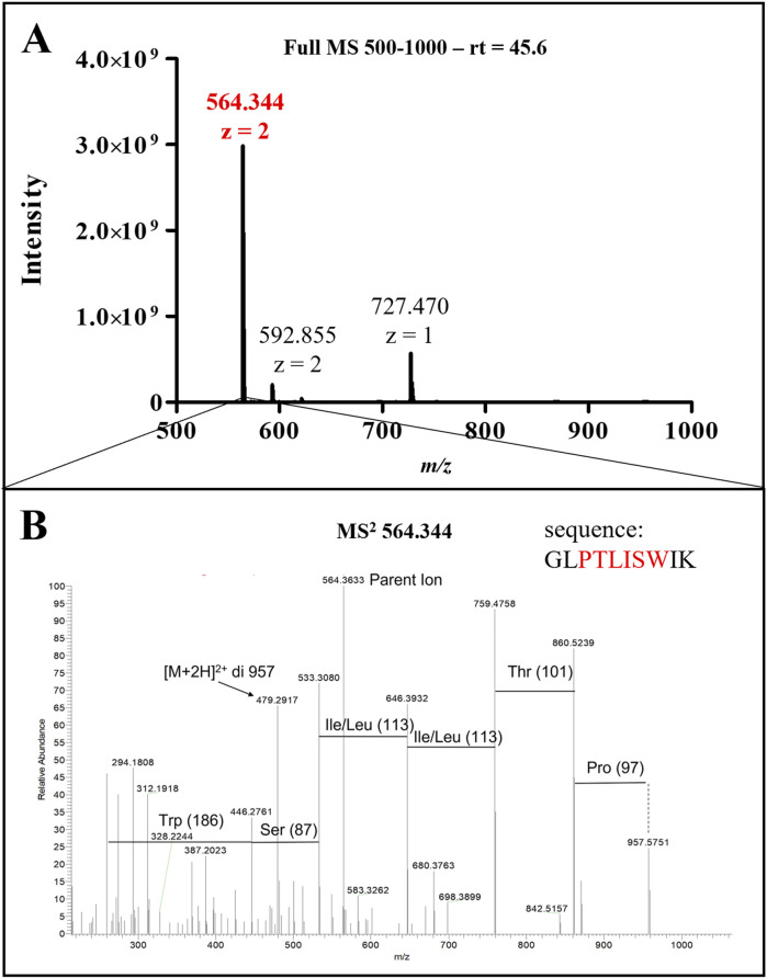 FIGURE 6