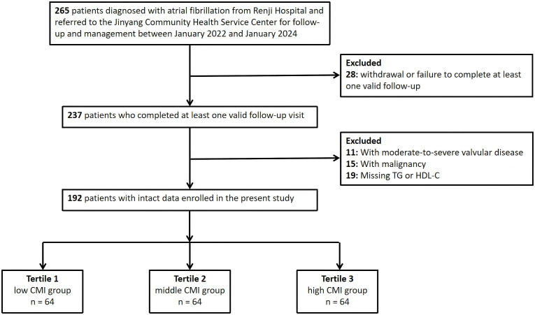 Figure 1