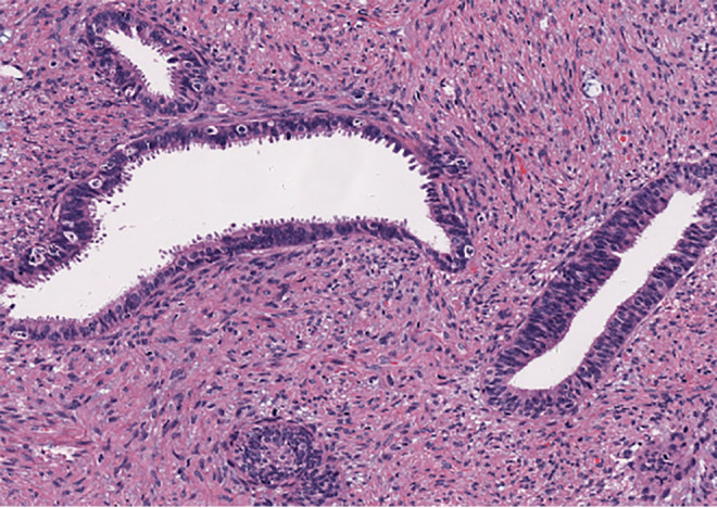 Figure 3