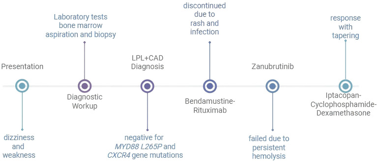 Figure 2