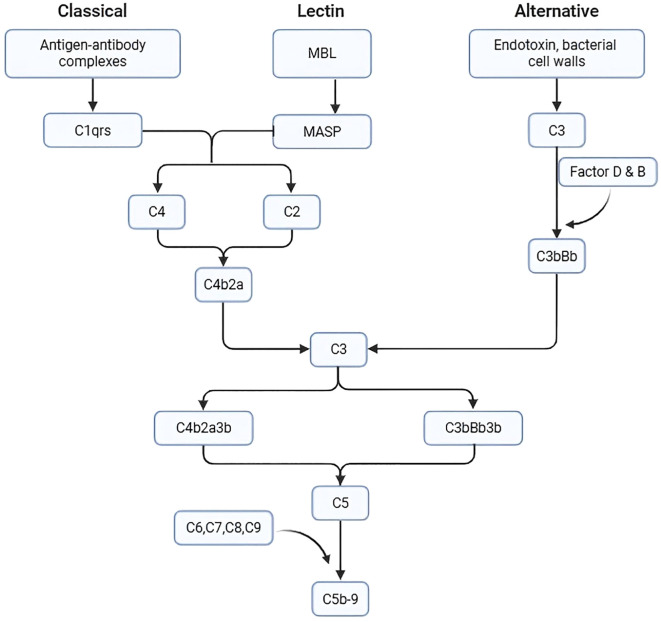 Figure 4