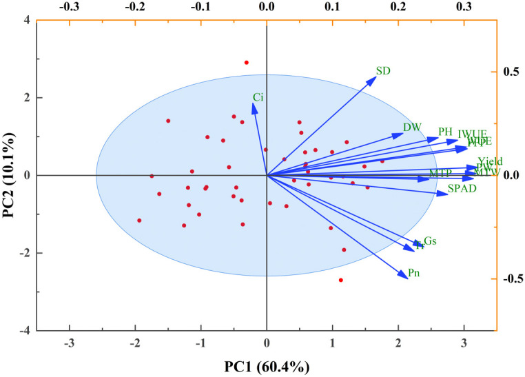 Figure 6