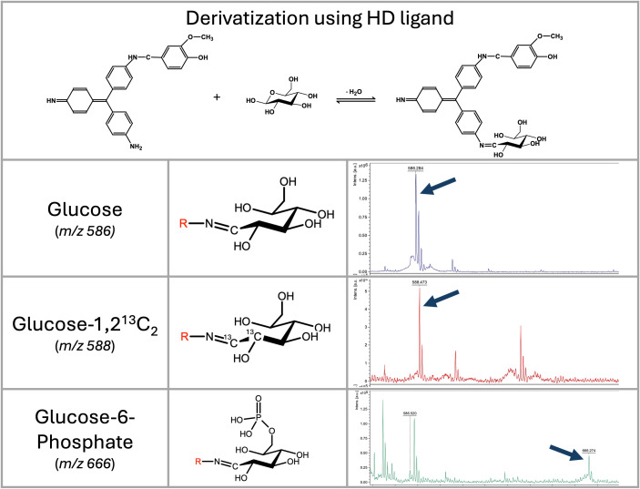 Figure 1