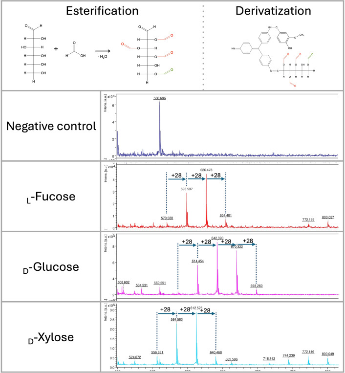 Figure 3