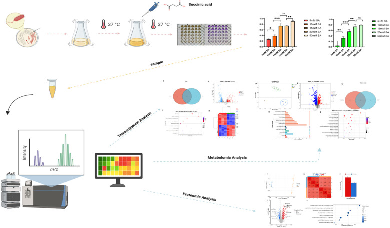 Figure 2