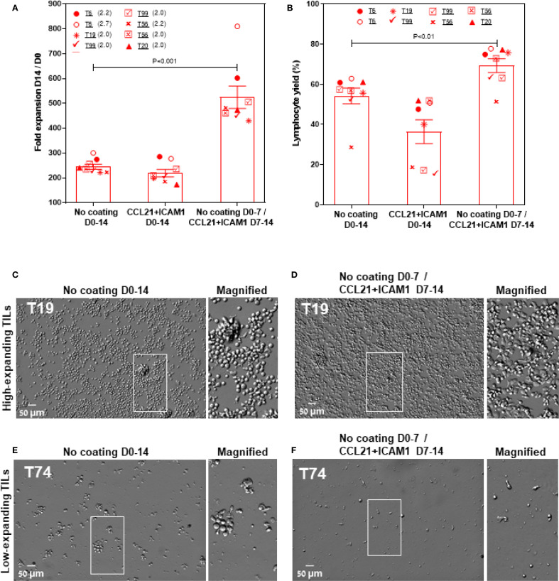 Figure 6