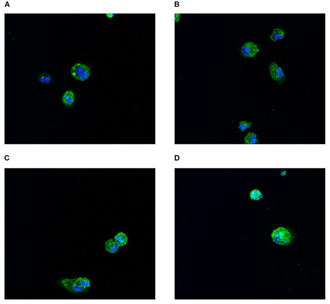 Figure 4