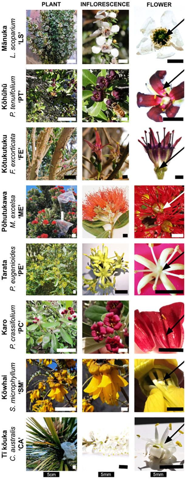 Figure 2