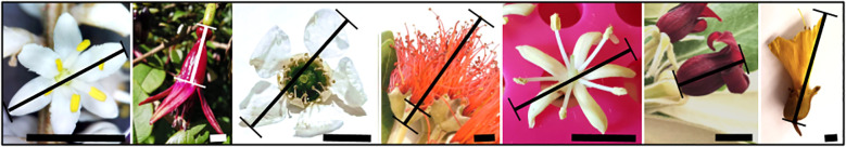 Figure 3
