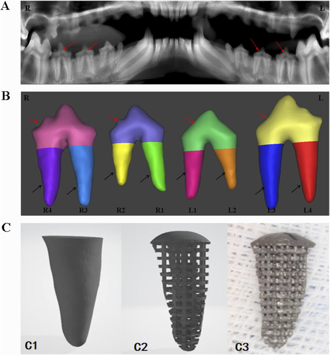 FIGURE 1