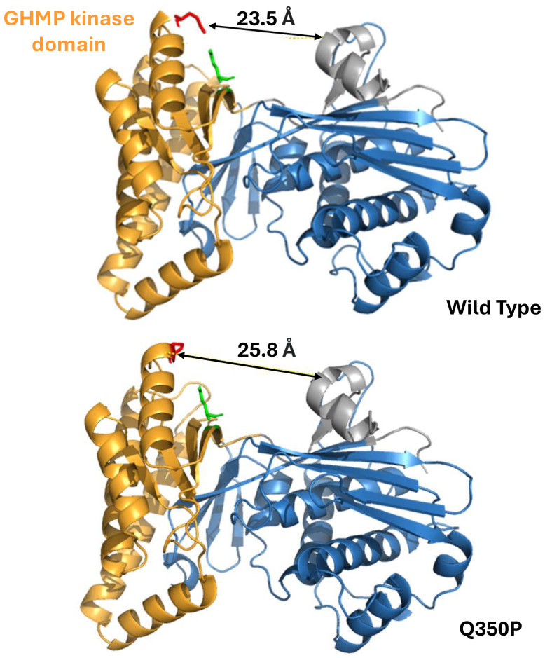 Figure 3