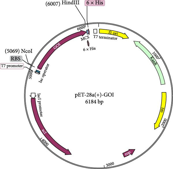 Figure 9