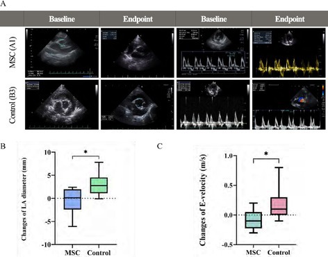 Figure 23