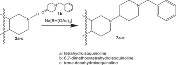 Scheme 3