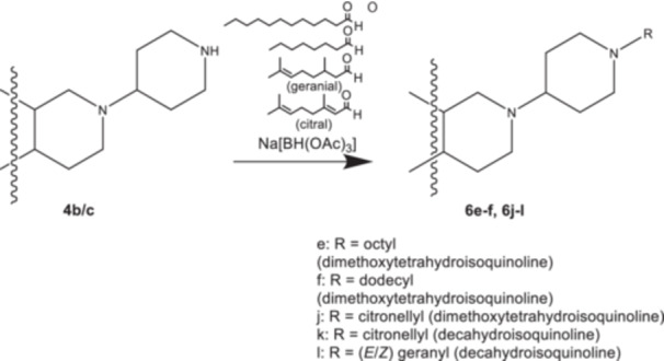 Scheme 2