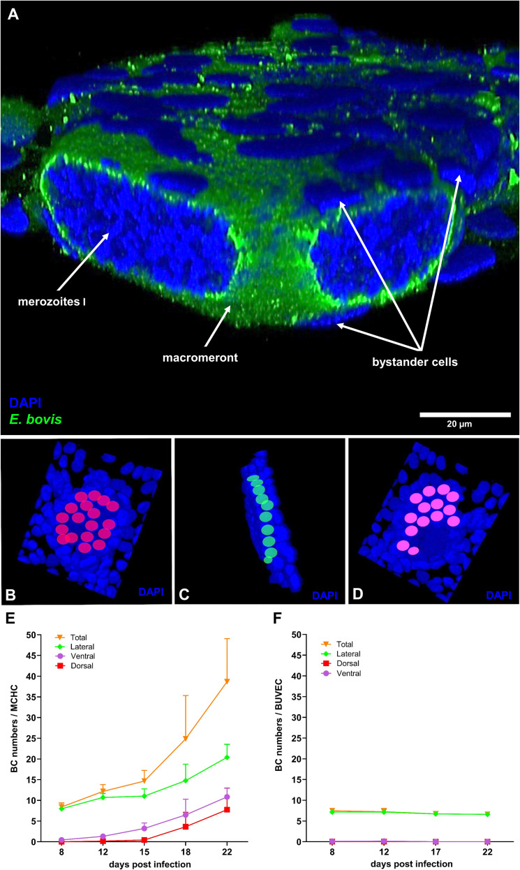 Figure 2