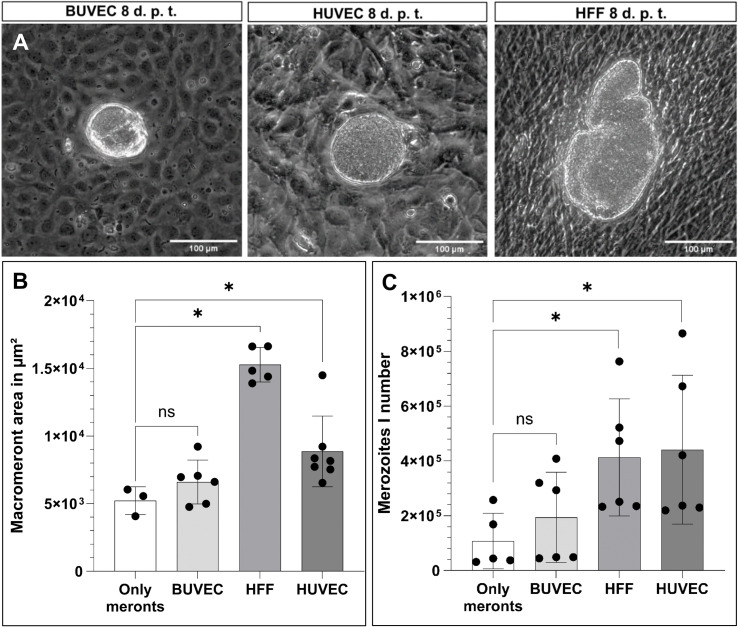 Figure 3