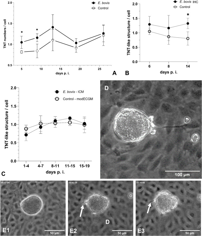 Figure 5