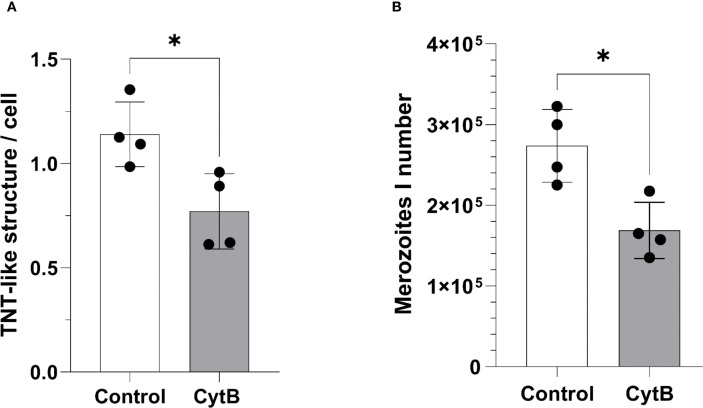 Figure 6