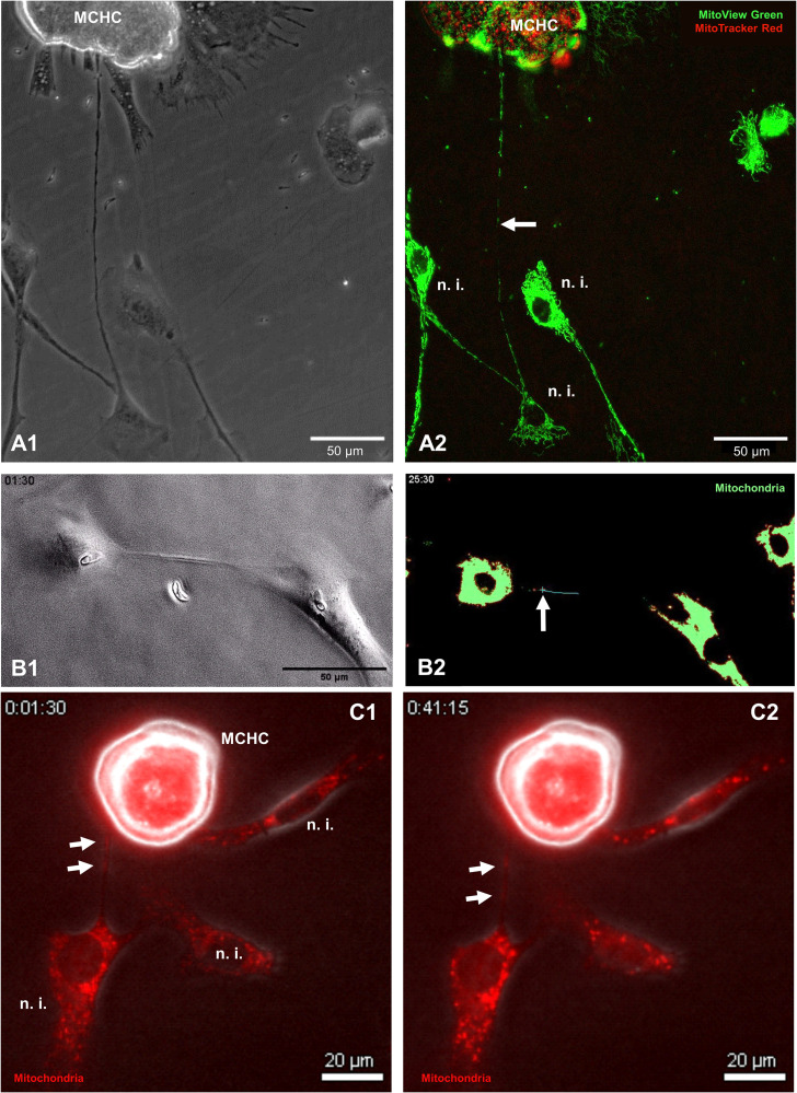 Figure 7