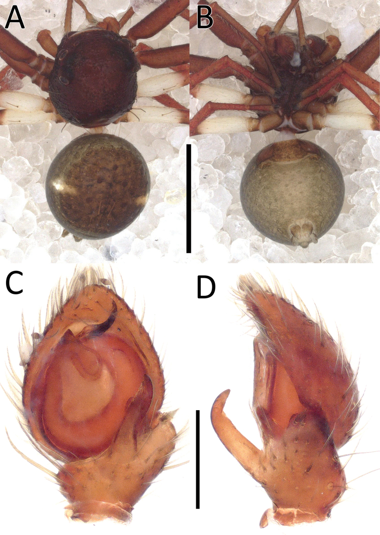 Figure 13