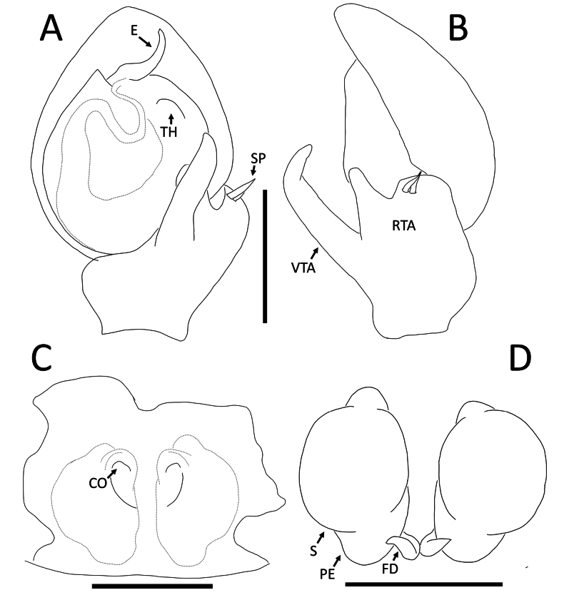 Figure 15